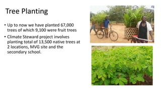 • Up to now we have planted 67,000
trees of which 9,100 were fruit trees
• Climate Steward project involves
planting total...