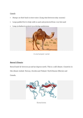 Camels
 Humps on their back to store water. (Long time between rainy seasons)
 Large padded feet to help walk in sand and protected from very hot sand
 Long eyelashes to protect eyes during sandstorms
A one-humped camel
Boreal Climate
Boreal lands lie between 50 and 90 degrees north. This is a cold climate. Countries in
this climate include Norway, Sweden and Finland. North Russia (Siberia) and
Canada.
Boreal lands
 