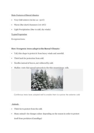 Main Features of Boreal climates
 Very Cold winters (As low as –30 C)
 Warm (But short) Summers (16-18 C)
 Light Precipitation (Due to cold, dry winds)
Typical Vegetation
Evergreen trees.
How Evergreen trees adapt to the Boreal Climate:
 Tall, thin shape to protect it from heavy winds and snowfall.
 Thick bark for protection from cold.
 Needles instead of leaves, not withered by cold.
 Shallow roots that spread outwards in the thin mountainous soils.
Coniferous trees have adapted well to enable them to survive the extreme cold
Animals
 Thick fur to protect from the cold.
 Many animal’s fur changes colour depending on the season in order to protect
itself from predators (Camoflage)
 