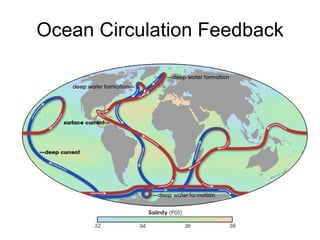 Ocean Circulation Feedback 