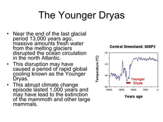 The Younger Dryas Near the end of the last glacial period 13,000 years ago, massive amounts fresh water from the melting glaciers disrupted the ocean circulation in the north Atlantic. This disruption may have caused a period of rapid global cooling known as the Younger Dryas. This abrupt climate change episode lasted 1,000 years and may have lead to the extinction of the mammoth and other large mammals. 