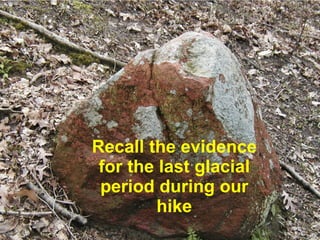 Recall the evidence for the last glacial period during our hike 