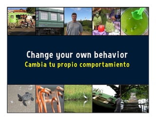 Change your own behavior
Cambia tu propio comportamiento
 
