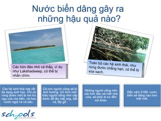Nước biển dâng gây ra  những hậu quả nào? Các hòn đảo nhỏ và thấp, ví dụ như Lakshadweep, có thể bị nhấn chìm. Toàn bộ các hệ sinh thái, như rừng đước chẳng hạn, có thể bị xóa sạch. 