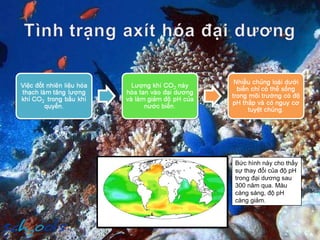 Bức hình này cho thấy sự thay đổi của độ pH trong đại dương sau 300 năm qua. Màu càng sáng, độ pH càng giảm. 