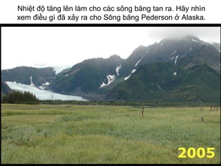 Nhiệt độ tăng lên làm cho các sông băng tan ra. Hãy nhìn xem điều gì đã xảy ra cho Sông băng Pederson ở Alaska. 