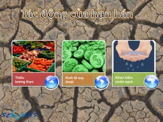 Thiếu lương thực Khan hiếm  nước sạch Kinh tế suy thoái 