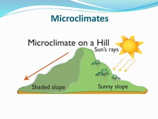 Microclimates
 
