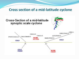 Cross section of a mid-latitude cyclone
 