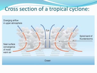 Cross section of a tropical cyclone:
 