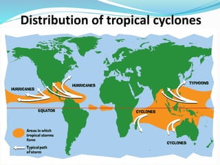 Distribution of tropical cyclones
 