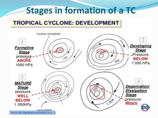 Stages in formation of a TC
 
