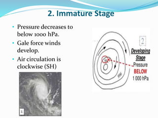 2. Immature Stage
• Pressure decreases to
below 1000 hPa.
• Gale force winds
develop.
• Air circulation is
clockwise (SH)
 