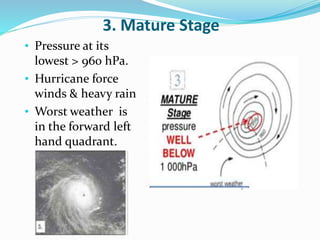 3. Mature Stage
• Pressure at its
lowest > 960 hPa.
• Hurricane force
winds & heavy rain
• Worst weather is
in the forward left
hand quadrant.
 