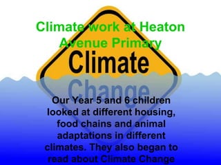 Climate work at Heaton
Avenue Primary
Our Year 5 and 6 children
looked at different housing,
food chains and animal
adaptations in different
climates. They also began to
read about Climate Change