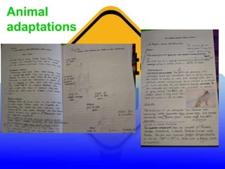 Animal
adaptations