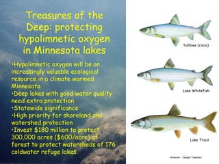 Protecting Forests for Fish: Using Conservation Easements to