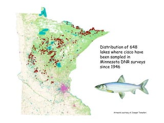 Protecting Forests for Fish: Using Conservation Easements to Protect the  Watersheds of Cisco Lakes