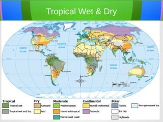 Tropical Wet & Dry
 
