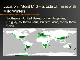 Location: Moist Mid –latitudeClimateswith
Mild Winters
Southeastern United States, northern Argentina,
Uruguay, southern Brazil, southern Japan, and southern
China.
 