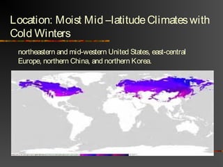Location: Moist Mid –latitudeClimateswith
Cold Winters
northeastern and mid-western United States, east-central
Europe, northern China, and northern Korea.
 