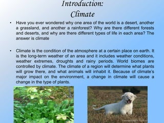       Air currents………………………………………………………….12