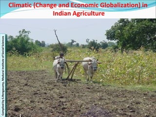 Climatic (Change and Economic Globalization) in  Indian Agriculture Complied by S.Rengasamy, Madurai Institute of Social Sciences  