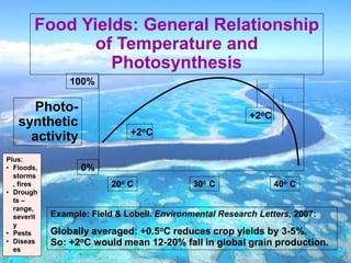 Photo-
synthetic
activity
20o C 30o C 40o C
Food Yields: General Relationship
of Temperature and
Photosynthesis
0%
100%
Example: Field & Lobell. Environmental Research Letters, 2007:
Globally averaged: +0.5oC reduces crop yields by 3-5%.
So: +2oC would mean 12-20% fall in global grain production.
+2oC
+2oC
Plus:
• Floods,
storms
, fires
• Drough
ts –
range,
severit
y
• Pests
• Diseas
es
 