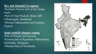 Dry Sub Humid(C2) regions:
•Northern Narrow belt of the Ganga
basin.
•Part of Uttar Pradesh, Bihar, MP,
Chhattisgarh, Jharkhand
•Western Maharashtra and Southern
Gujarat
Semi-Arid(D) climatic region:
•Part of Punjab and Haryana
•Eastern part of Rajasthan, Maharashtra,
Karnataka, Telangana
•Western Part of Tamilnadu.
 