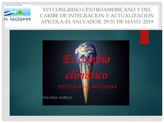 XVI CONGRESO CENTROAMERICANO Y DEL
CARIBE DE INTEGRACION Y ACTUALIZACION
APICOLA-EL SALVADOR. 29-31 DE MAYO 2019
 