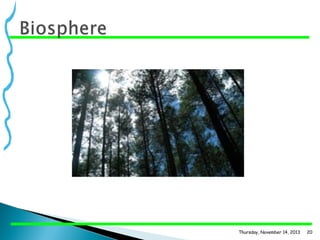 Thursday, November 14, 2013

20

 