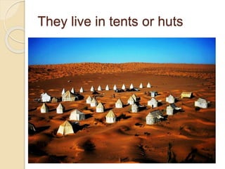 They live in tents or huts
 
