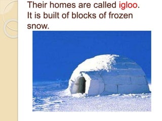 Their homes are called igloo.
It is built of blocks of frozen
snow.
 