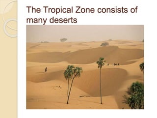 The Tropical Zone consists of
many deserts
 