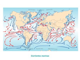 Corrientes marinas
 