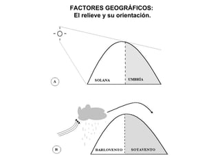 FACTORES GEOGRÁFICOS:
El relieve y su orientación.
 