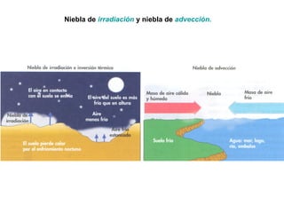 Niebla de irradiación y niebla de advección.
 