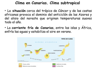 Clima en Canarias. Clima subtropical
• La situación cerca del trópico de Cáncer y de las costas
africanas provoca el dominio del anticiclón de las Azores y
del alisio del noreste que originan temperaturas suaves
todo el año.
• La corriente fría de Canarias, entre las islas y África,
enfría las aguas y estabiliza el aire en verano.
 