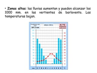 • Zonas altas: las lluvias aumentan y pueden alcanzar los
1000 mm. en las vertientes de barlovento. Las
temperaturas bajan.
 