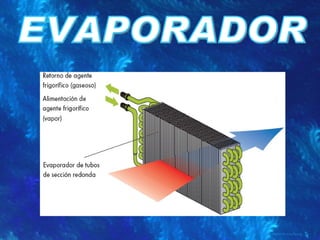 EVAPORADOR 