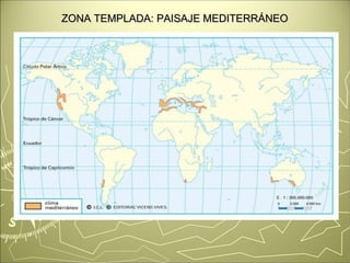 ZONA TEMPLADA: PPAAIISSAAJJEE MMEEDDIITTEERRRRÁÁNNEEOO 
 