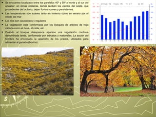 ► Se encuentra localizado entre los paralelos 40º y 60º al norte y al sur del 
ecuador, en zonas costeras, donde reciben los vientos del oeste, que 
procedentes del océano, dejan lluvias suaves y persistentes. 
► Las temperaturas son suaves tanto en invierno como en verano por el 
efecto del mar 
► Los ríos son caudalosos y regulares 
► La vegetación esta conformada por los bosques de arboles de hoja 
caduca como el haya, el roble, etc. 
► Cuando el bosque desaparece aparece una vegetación continua 
denominada landa, conformada por arbustos y matorrales. La acción del 
hombre ha provocado la aparición de los prados, utilizados para 
alimentar al ganado (bovino) 
 