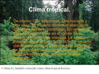 Clima tropical. De interior. Dos estaciones. Una húmeda y otra seca. En invierno domina el alisio seco que sopla desde el continente. En verano de cada hemisferio entra en el vaivén de la convergencia. Lluvias intensas. La sequía invernal ocupa la zona 5-25º N/S. La selva se clarifica dando lugar a la sabana al ascender en latitud. Adaptación de las plantas a la sequía: hierbas altas, arbustos, árboles dispersos. 