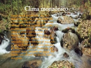 Costa zona occidental. Sur de Asia. Debido a la inmensidad del continente asiático. En la misma latitud en otros lugares del globo existen desiertos. En invierno sopla el alisio continental o monzón de invierno, frío, seco y sin lluvias. En verano el alisio del hemisferio sur atraviesa el ecuador y por la fuerza de Coriolis cambia de dirección SO-NE (monzón de verano) muy cargado de  agua . En zonas con relieve las lluvias son mayores. Clima monzónico 