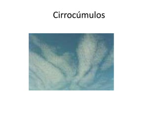 Cirrocúmulos