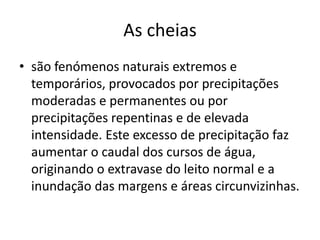 As cheias são fenómenos naturais extremos e temporários, provocados por precipitações moderadas e permanentes ou por precipitações repentinas e de elevada intensidade. Este excesso de precipitação faz aumentar o caudal dos cursos de água, originando o extravase do leito normal e a inundação das margens e áreas circunvizinhas. 