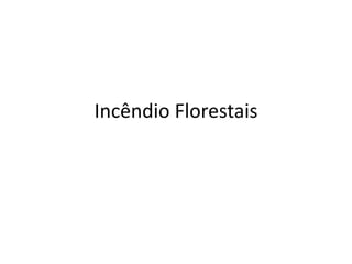 Incêndio Florestais