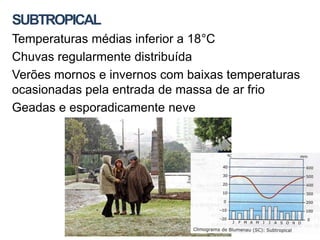 SUBTROPICAL
Temperaturas médias inferior a 18°C
Chuvas regularmente distribuída
Verões mornos e invernos com baixas temperaturas
ocasionadas pela entrada de massa de ar frio
Geadas e esporadicamente neve
 
