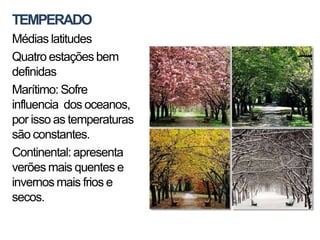 TEMPERADO
Médias latitudes
Quatro estações bem
definidas
Marítimo: Sofre
influencia dos oceanos,
por isso as temperaturas
são constantes.
Continental: apresenta
verões mais quentes e
invernos mais frios e
secos.
 