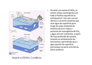 • Durante um evento El Niño, os
  ventos alísios convergentes em
  todo o Pacífico equatorial se
  enfraquecem. Isto, por sua vez
  diminui a corrente oceânica que
  atrai água de superfície para
  longe da costa ocidental da
  América do Sul e reduz o
  processo de ressurgência de frio,
  a água rica em nutrientes, a partir
  do mais profundo do oceano,
  levando ao achatamento da
  termoclina e permitindo que a
  água quente da superfície
  permaneça na parte oriental da
  bacia oceânica.
 